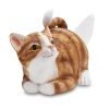 Zsebkendő adagoló macska seggkendő-adagoló