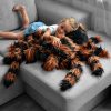 Óriás plüss tarantula madárpók