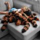 Óriás plüss tarantula madárpók
