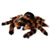 Óriás plüss tarantula madárpók