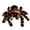 Óriás plüss tarantula madárpók