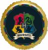 Harry Potter Hogwarts fólia lufi 43 cm