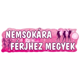 Nemsokára Férjhez Megyek Banner - 90cmx27cm