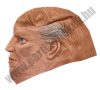 Trump maszk