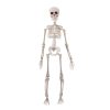 Halloween csontváz mozgatható végtagokkal 50cm