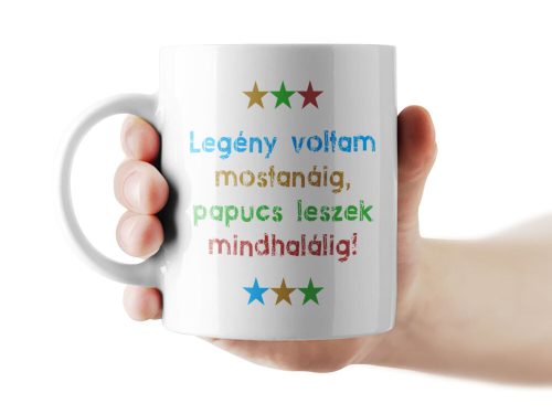 Legény voltam mostanáig bögre