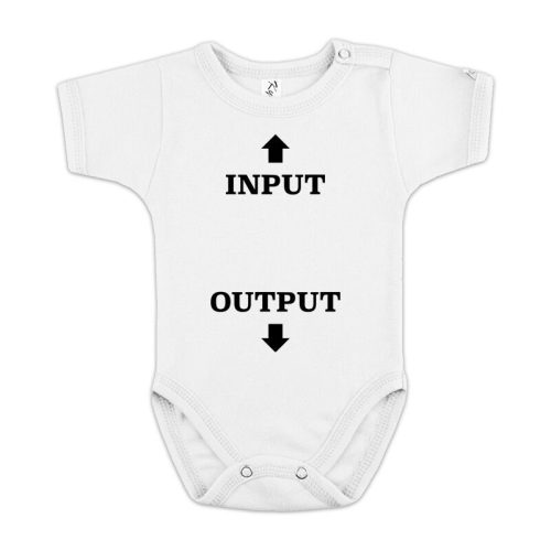 Input - Output baba body