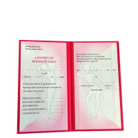 Lánybúcsú bizonyítvány, diploma