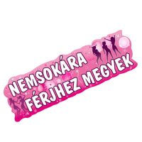 Lánybúcsú dekoráció