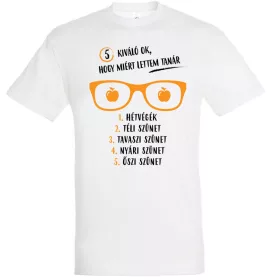 5 ok amiért tanár lettem póló