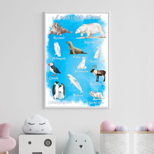 Sarkvidék állatai poszter
